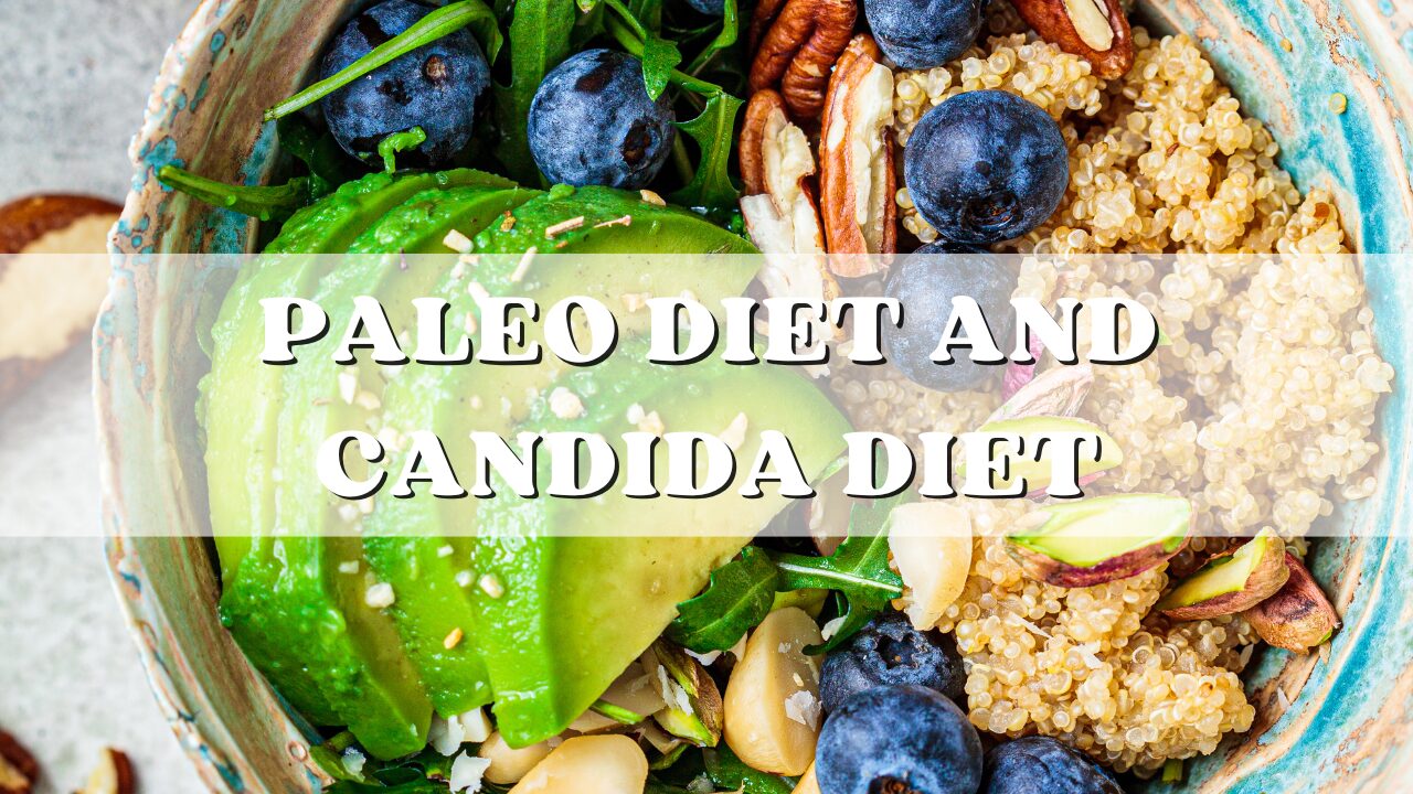 candida diet recipes